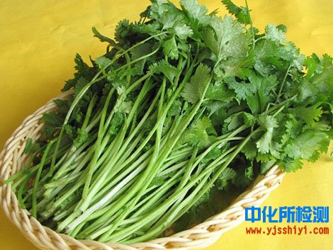 香菜檢測