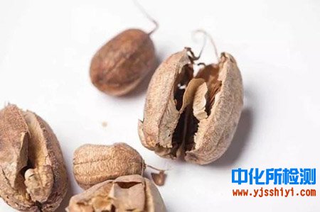 馬兜鈴成分檢測