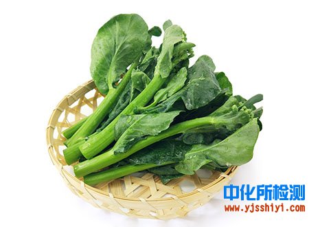 芥蘭成分檢測(cè)