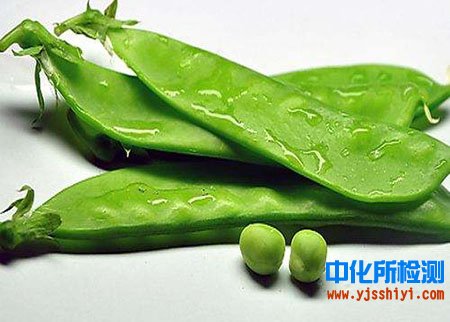 荷蘭豆成分分析檢測