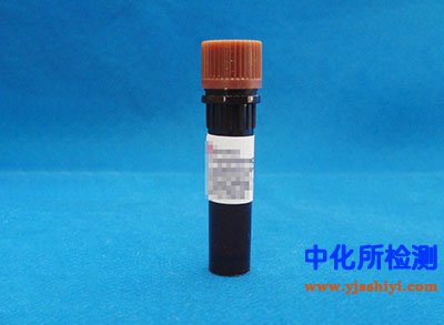 凝集素檢測