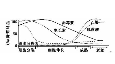 細(xì)胞分裂素測定