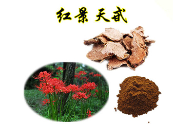 紅景天苷測(cè)定