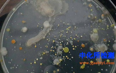 抑菌劑檢測(cè)